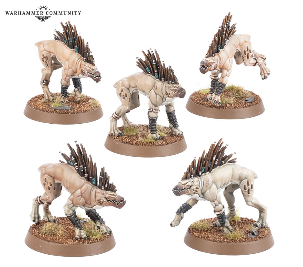 T'au Empire: Kroot Hounds